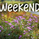 Direcții simple și eficiente pentru acest weekend