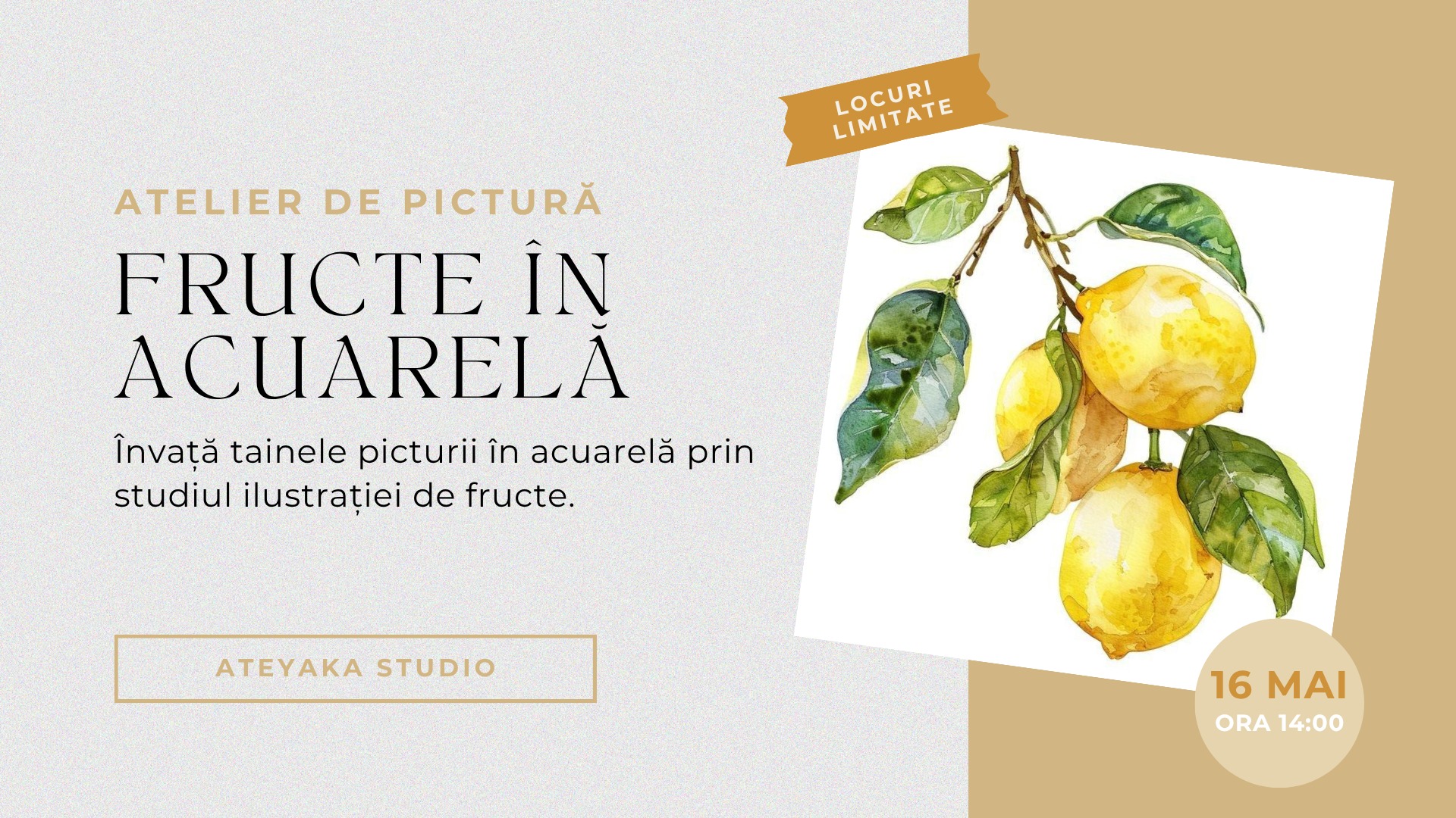 fructe in acuarela
